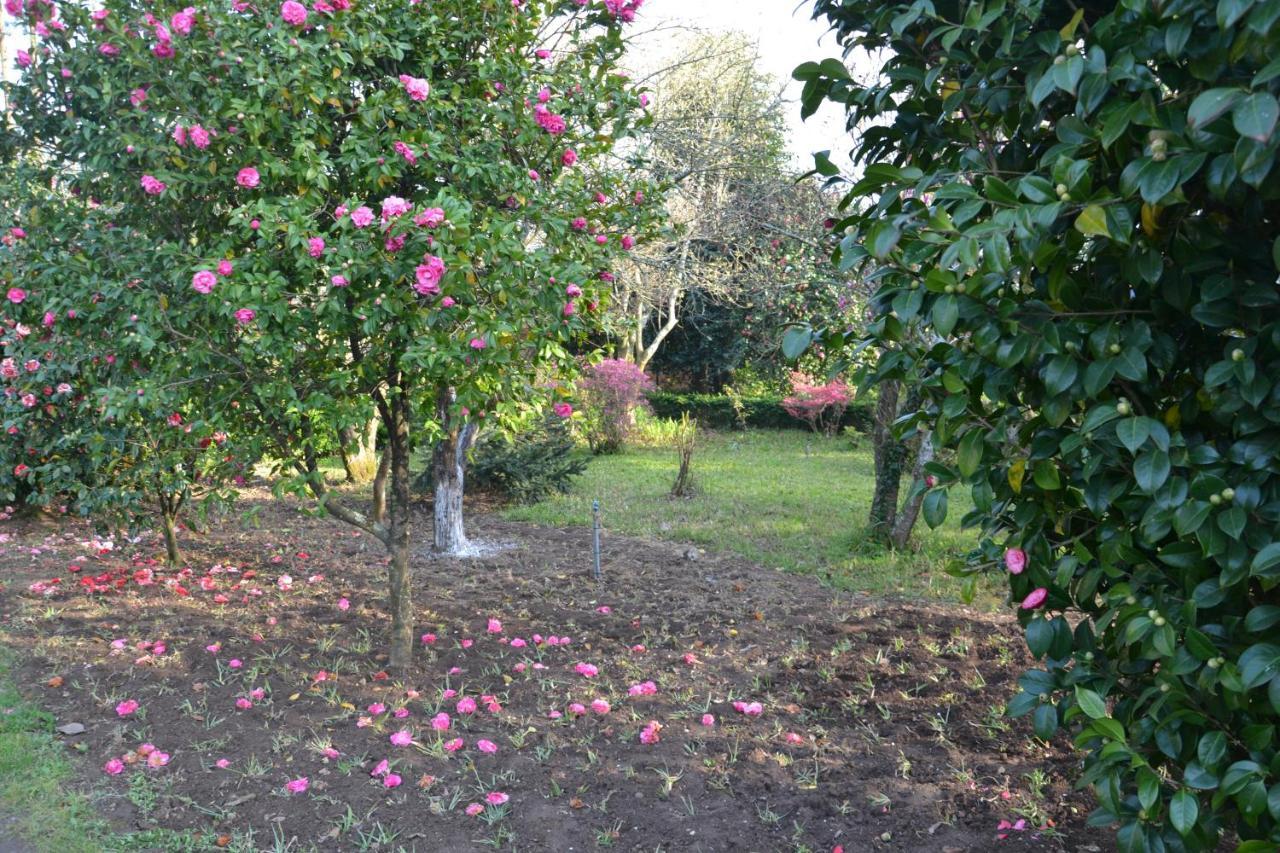 مبيت وإفطار Alquerubim Quinta D'Avo Amelia المظهر الخارجي الصورة