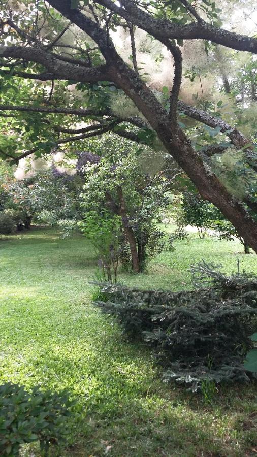 مبيت وإفطار Alquerubim Quinta D'Avo Amelia المظهر الخارجي الصورة
