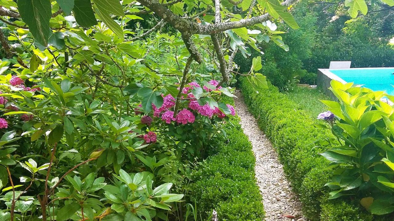 مبيت وإفطار Alquerubim Quinta D'Avo Amelia المظهر الخارجي الصورة