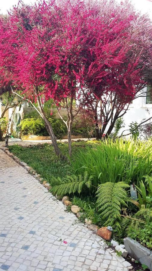 مبيت وإفطار Alquerubim Quinta D'Avo Amelia المظهر الخارجي الصورة