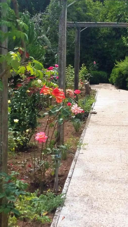 مبيت وإفطار Alquerubim Quinta D'Avo Amelia المظهر الخارجي الصورة