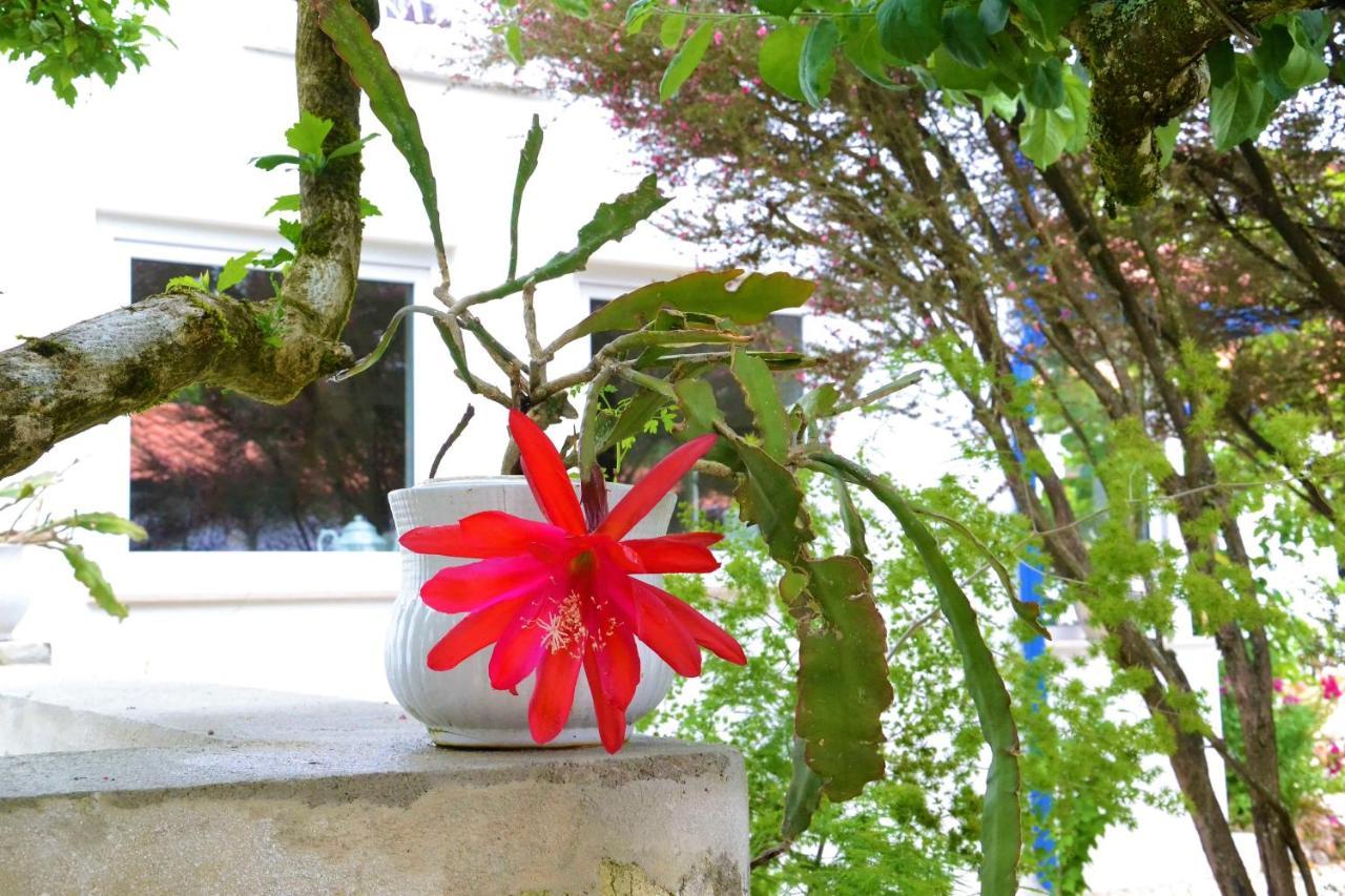 مبيت وإفطار Alquerubim Quinta D'Avo Amelia المظهر الخارجي الصورة