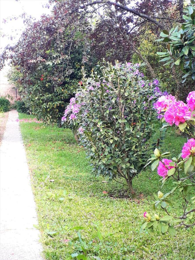 مبيت وإفطار Alquerubim Quinta D'Avo Amelia المظهر الخارجي الصورة